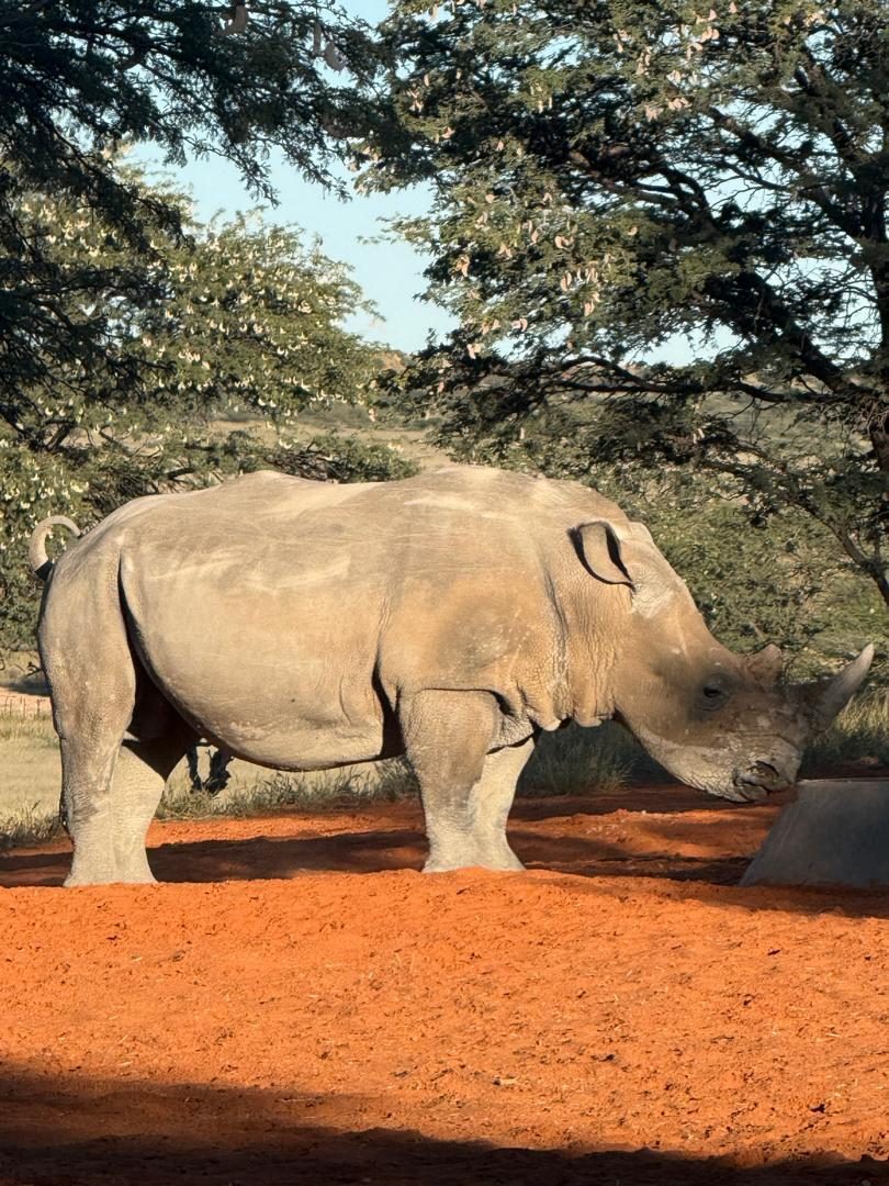 Kaisol – Rhino Sanctuary Namibia